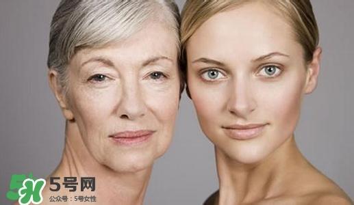 胶原蛋白的功效与作用 如何补充胶原蛋白