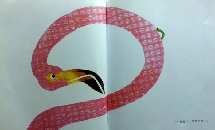 悲凉底色下的顽强生命——绘本推荐《一寸虫》