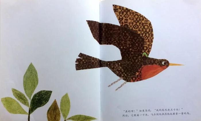 悲凉底色下的顽强生命——绘本推荐《一寸虫》