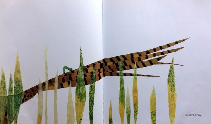 悲凉底色下的顽强生命——绘本推荐《一寸虫》