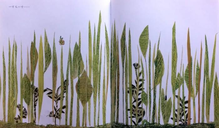 悲凉底色下的顽强生命——绘本推荐《一寸虫》