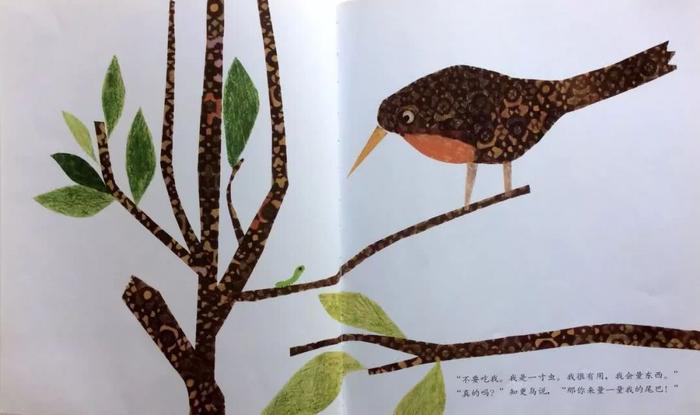 悲凉底色下的顽强生命——绘本推荐《一寸虫》