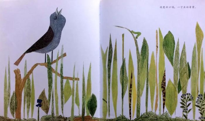 悲凉底色下的顽强生命——绘本推荐《一寸虫》