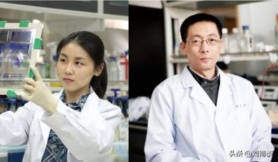 ​为什么施一公教授和颜宁教授在网络上的评价两极分化如此严重？