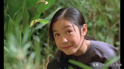 ​《青木瓜之恋》：蝉鸣的盛夏，从一颗青木瓜走进梅的生活