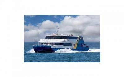 ​孩子要去看心理医生,我应该怎么跟他说