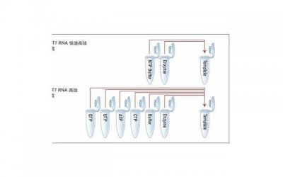 ​夫妻性爱质量低怎么办 正确使用避孕套的9大注意事项