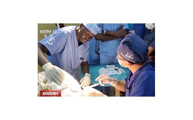 苏友朋老婆颜丹晨（42岁的颜丹晨现在怎么样了）