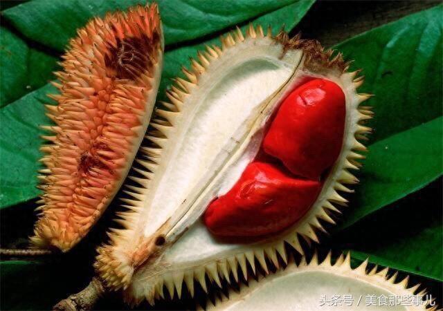 海南特产：红心榴莲，价格昂贵，长得像内脏，敢不敢咬一口！