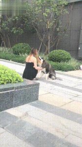 ​瘦瘦的小姐姐轻松抱起阿拉，网友：这就是平时连水都拧不开的女生