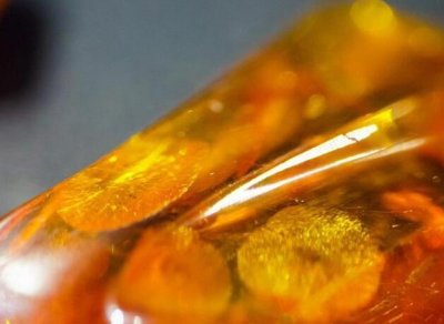 ​琥珀色？琥珀到底是什么颜色？