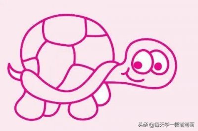 ​每天学一幅简笔画-简单的乌龟简笔画画法步骤教程及图片大全