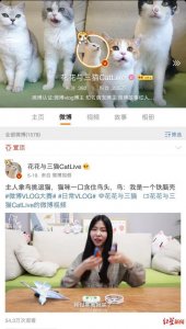 ​4 只网红猫拍猫片年入百万 携铲屎官人住豪宅