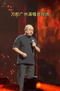​刀郎孙燕姿再掀热潮演唱会市场还能持续多久