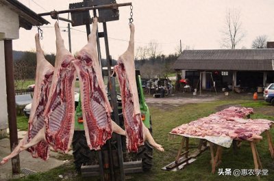 ​农村杀猪需要什么手续？哪些行为杀猪会犯法？