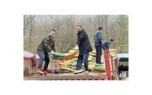 如何恢复婚姻中的亲密关系?为什么我感到婚姻失去了幸福感?