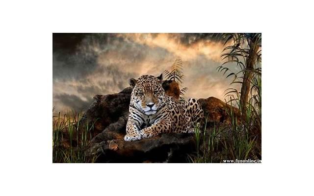 陈冠希与张柏芝（当年陈冠希让张柏芝婚姻破裂）