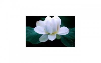 ​男生最有魅力的特征，追女生必知技巧