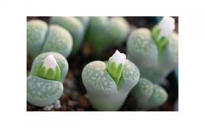 ​异地恋分手后怎么挽回,对方又不想谈感情