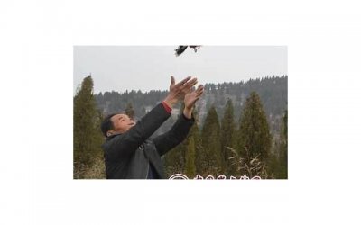 ​送给女友的古诗撩人（男生表白之后没拒绝的话会怎么样）