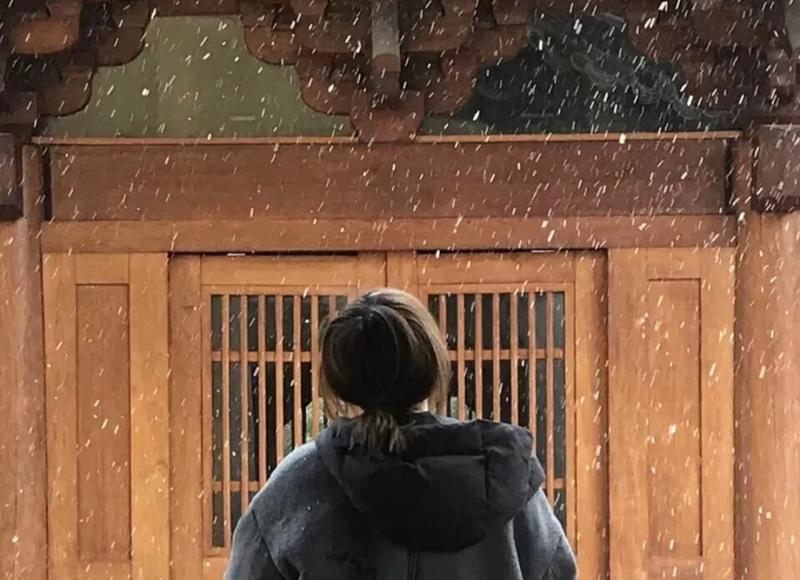 亮剑结局为什么这么惨（因为结局悲得无法看）