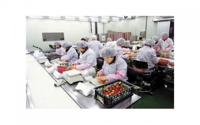 ​离婚了有孩子好还是没孩子好？介绍背后的心理和现实问题
