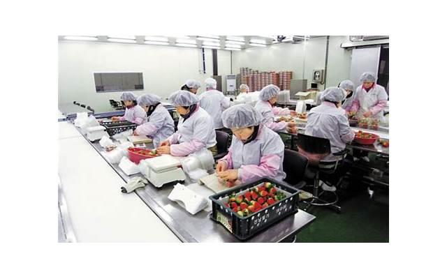 离婚了有孩子好还是没孩子好？介绍背后的心理和现实问题