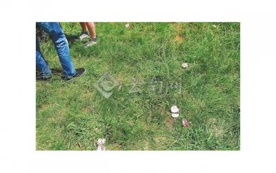 ​屌丝如何追女神？掌握正确的方法并不难