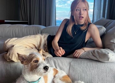 ​挽救婚姻公司有用吗？详细介绍