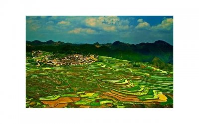 ​双十一该买什么