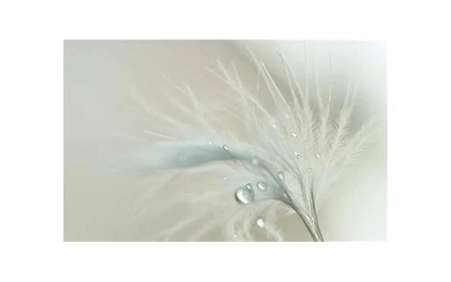 女生长期不谈恋爱有什么变化（女生长期不谈恋爱的表现）