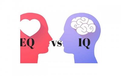 ​EQ是情商吗