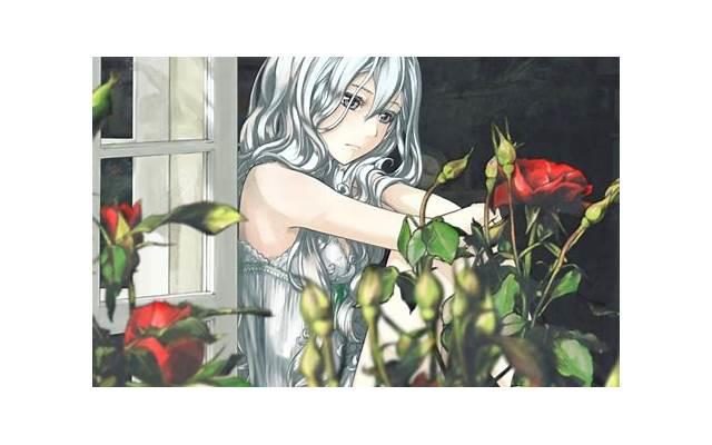 请告诉你的女儿：结婚，有三个真相