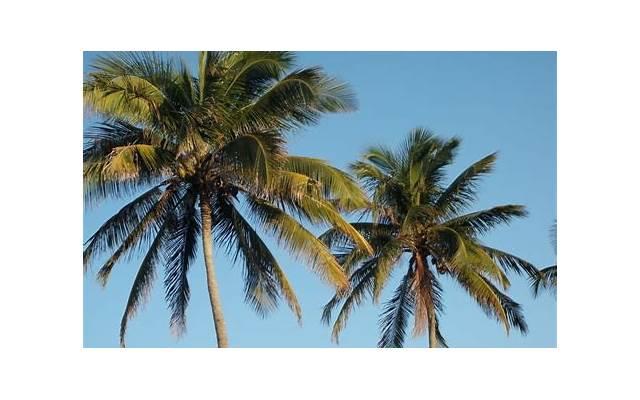 梦见和前任结婚了是什么意思(梦见前任和自己结婚周公解梦)