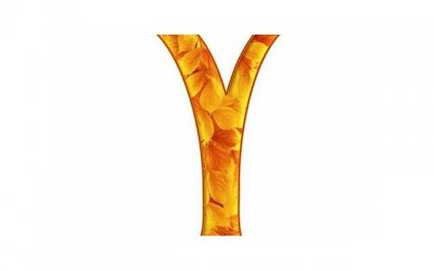 ​正缘错过会重新遇到吗，正缘是命中跟你结婚的对象吗