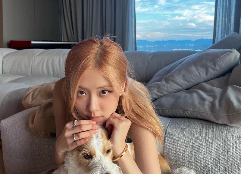 长期飞机打多了怎么恢复，长期飞机打多了怎么恢复记忆力