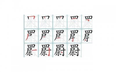 ​只有聊天功能的社交软件(社交软件上怎么聊天)