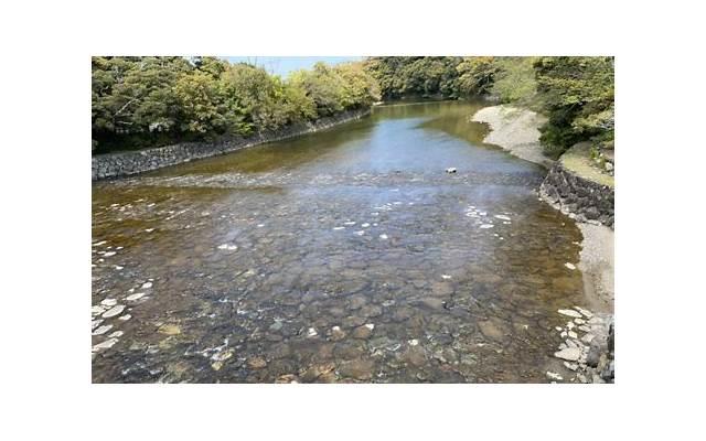 经常出差的工作好不好找对象(出差的人怎么找对象)