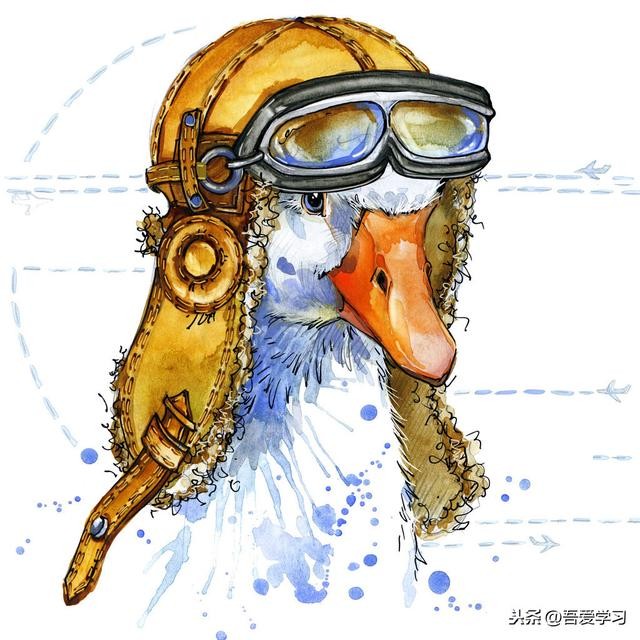 数学科普小知识大全（整理一些经典数学小知识）(1)