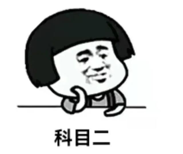 驾考常识大全（这些驾考小知识）(4)