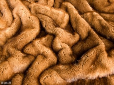 ​公貂好还是母貂好？关于貂皮大衣你想知道的知识都在这里