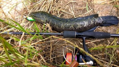 ​什么钓鱼线最好（分享3种最好用的钓鱼线）