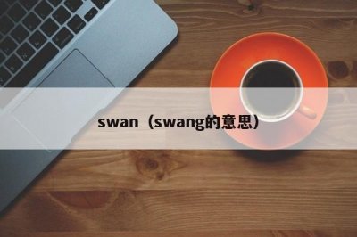 ​swan（swang的意思）