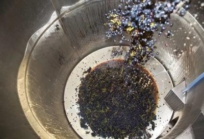 ​1999雄师红酒图片(1999年拉菲红酒图片)