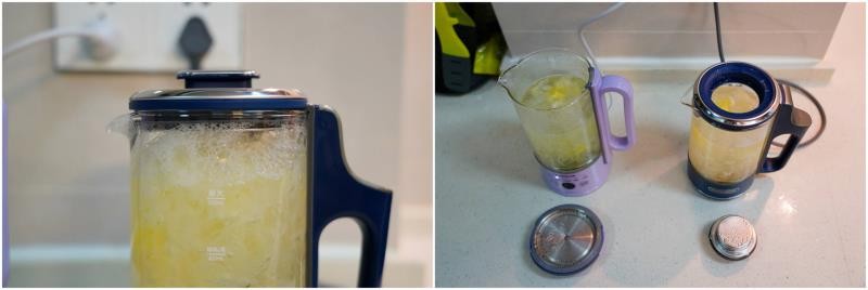 养生壶哪个牌子质量好（玻璃养生壶十大排名）(28)