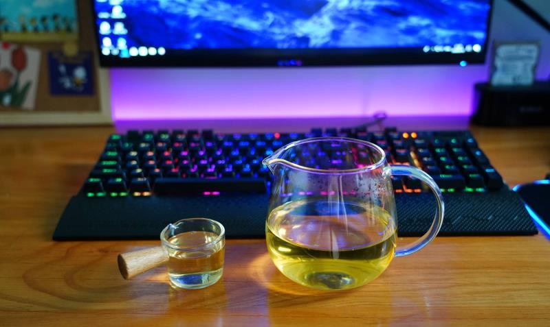 养生壶哪个牌子质量好（玻璃养生壶十大排名）(31)