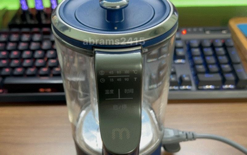 养生壶哪个牌子质量好（玻璃养生壶十大排名）(17)