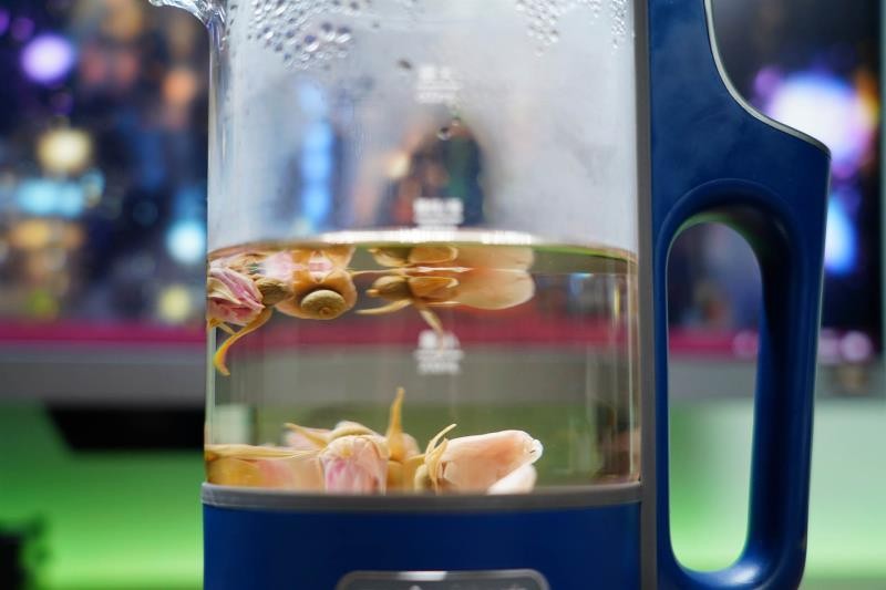 养生壶哪个牌子质量好（玻璃养生壶十大排名）(35)