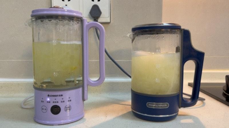 养生壶哪个牌子质量好（玻璃养生壶十大排名）(30)