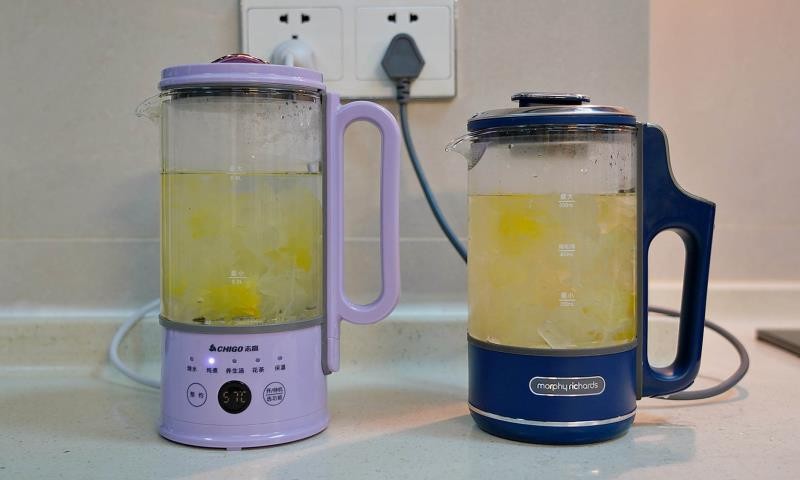 养生壶哪个牌子质量好（玻璃养生壶十大排名）(27)